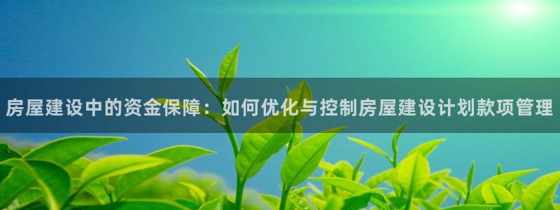 威九国际新：房屋建设中的资金保障：如何优化与控制房屋建设计划款项管理