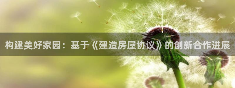 威九国际的金融服务怎么样：构建美好家园：基于《建造房屋协议》的创新合作进展