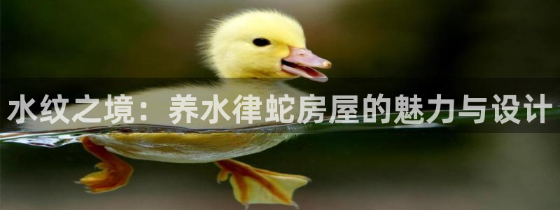 威九国际网站入口官网首页：水纹之境：养水律蛇房屋的魅力与设计