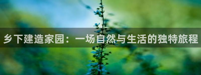 威九国际空降：乡下建造家园：一场自然与生活的独特旅程