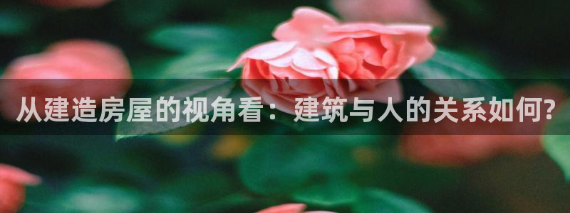 威九国际网站入口地址查询：从建造房屋的视角看：建筑与人的关系如何?