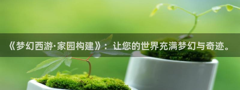 威九国际官网在线进入网站查询：《梦幻西游·家园构建》：让您的世界充满梦幻与奇迹。