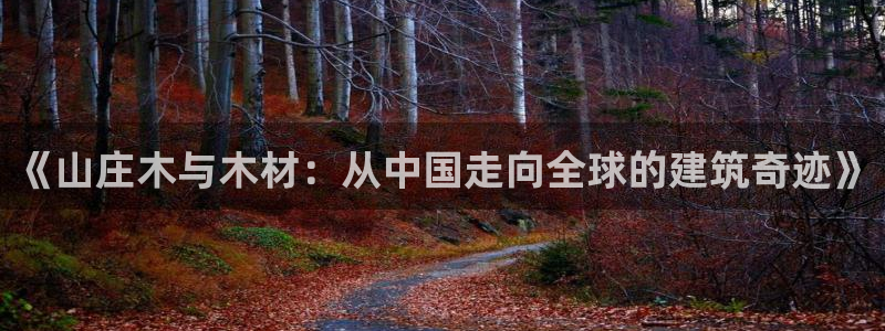 威九国际韩国：《山庄木与木材：从中国走向全球的建筑奇迹》