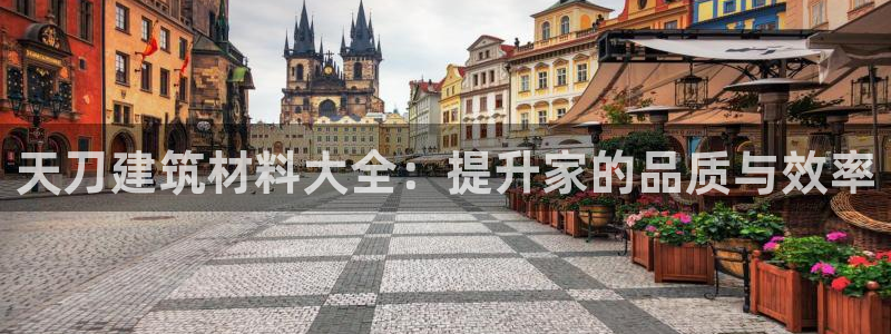 威九国际官网登录入口网址：天刀建筑材料大全：提升家的品质与效率