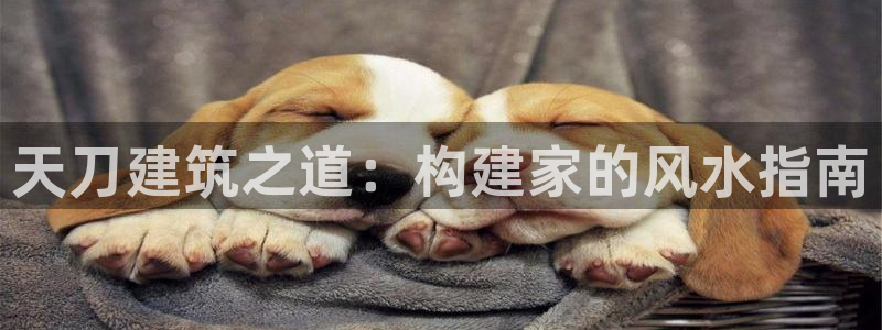 威九国际能提现吗是真的吗：天刀建筑之道：构建家的风水指南