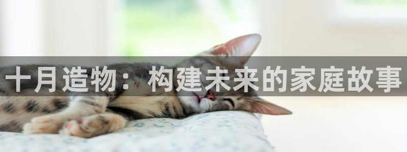 威九国际精选酒店电话：十月造物：构建未来的家庭故事