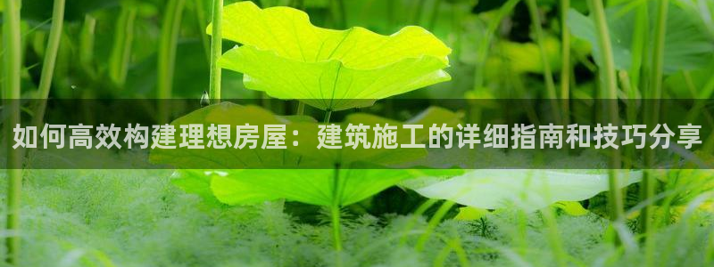 威九国际精选酒店电话：如何高效构建理想房屋：建筑施工的详细指南和技巧分享