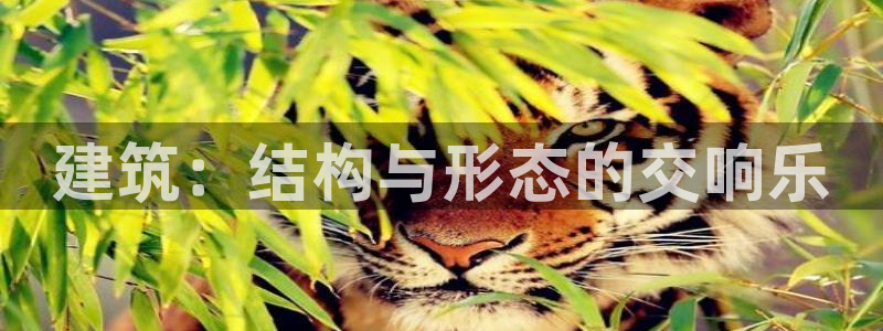 威九国际集团66m一6：建筑：结构与形态的交响乐