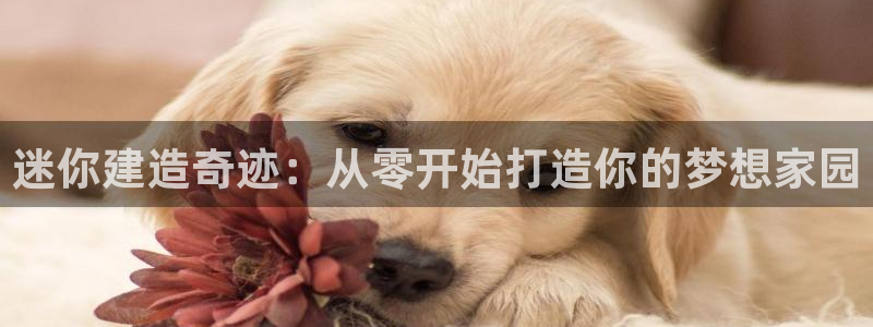 威九国际犯法吗：迷你建造奇迹：从零开始打造你的梦想家园