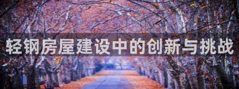 威九国际66mm66：轻钢房屋建设中的创新与挑战