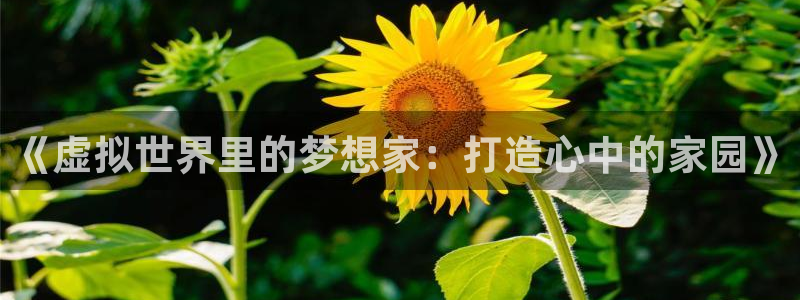 威九国际78app：《虚拟世界里的梦想家：打造心中的家园》