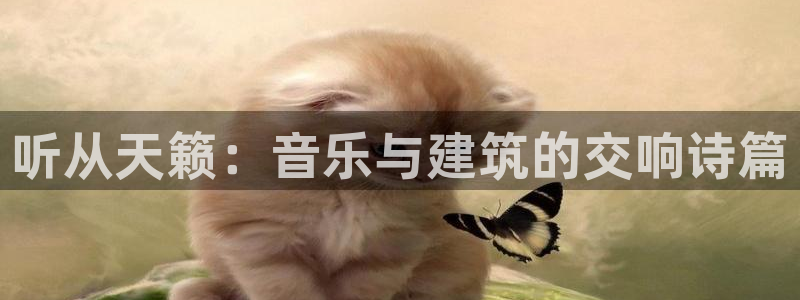 威九国际可以退钱吗怎么退