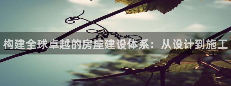 威九国际天美：构建全球卓越的房屋建设体系：从设计到施工