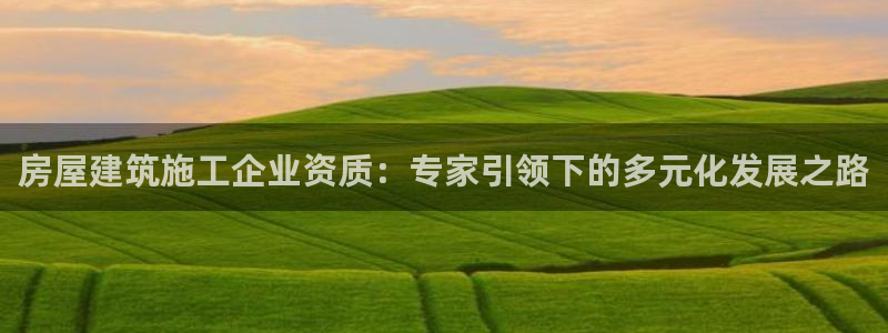 威九国际78mb42斗罗大陆：房屋建筑施工企业资质：专家引领下的多元化发展之路