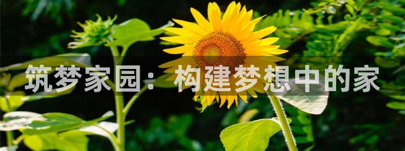 威九国际网站为什么不禁止：筑梦家园：构建梦想中的家
