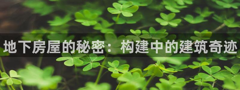 威九国际的金融服务：地下房屋的秘密：构建中的建筑奇迹