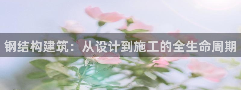 威九国际78mb下：钢结构建筑：从设计到施工的全生命周期