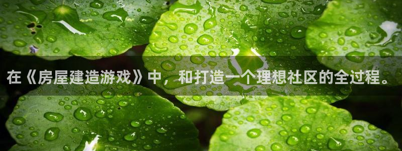 威九国际网站经常打不开：在《房屋建造游戏》中，和打造一个理想社区的全过程。