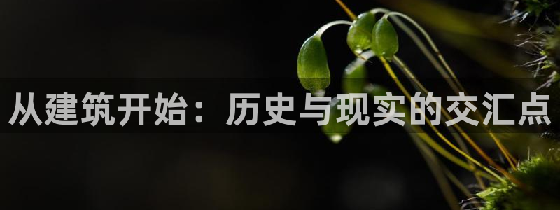 保定威九网络科技有限公司招聘：从建筑开始：历史与现实的交汇点