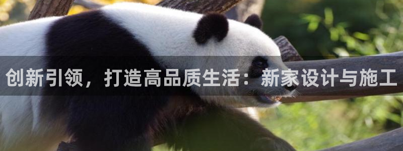 威九国际下载官网app：创新引领，打造高品质生活：新家设计与施工