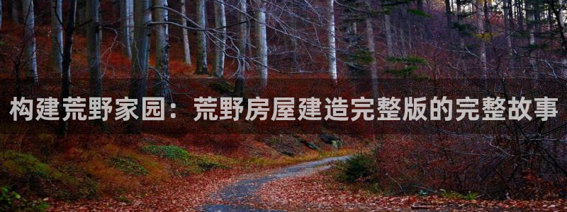 威九国际ppt免费：构建荒野家园：荒野房屋建造完整版的完整故事