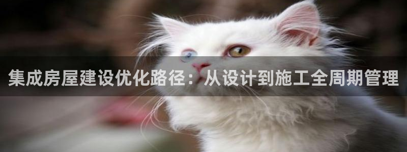 威九国际app客服电话多少：集成房屋建设优化路径：从设计到施工全周期管理