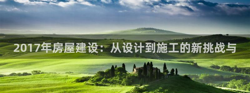 威九国际里的长头发帅哥名字：2017年房屋建设：从设计到施工的新挑战与