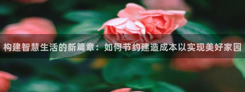 威九国际精免费下载：构建智慧生活的新篇章：如何节约建造成本以实现美好家园