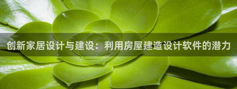 威九国际官网在线进入网站查询：创新家居设计与建设：利用房屋建造设计软件的潜力