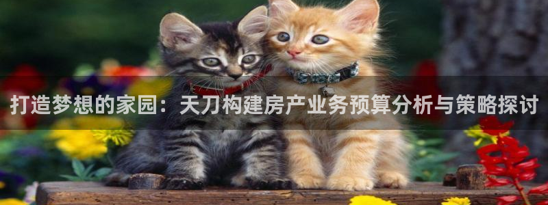 威九国际坑人的嘛：打造梦想的家园：天刀构建房产业务预算分析与策略探讨