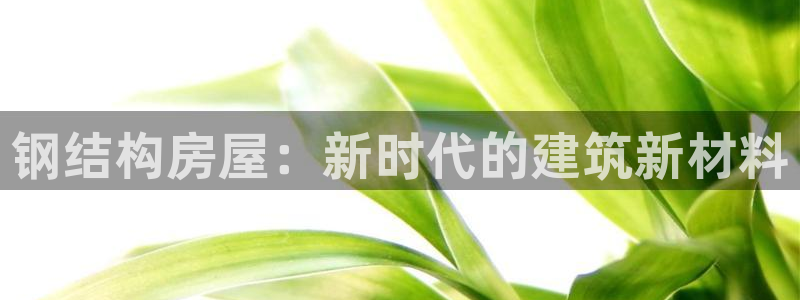 威九国际网站进入产品中心：钢结构房屋：新时代的建筑新材料