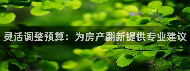 威九国际MM：灵活调整预算：为房产翻新提供专业建议