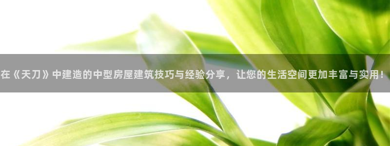 威九国际替好友去：在《天刀》中建造的中型房屋建筑技巧与经验分享，让您的生活空间更加丰富与实用！