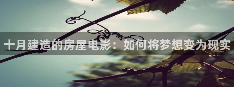 威九国际电子游戏：十月建造的房屋电影：如何将梦想变为现实