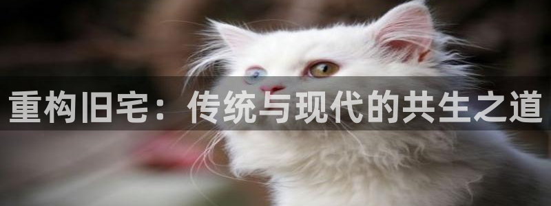 78mapp威九国际媒体央视