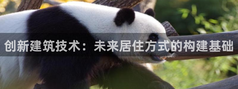 威九国际官网登录入口下载：创新建筑技术：未来居住方式的构建基础