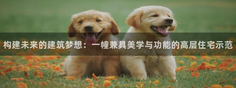 威九国际网站官网：构建未来的建筑梦想：一幢兼具美学与功能的高层住宅示范