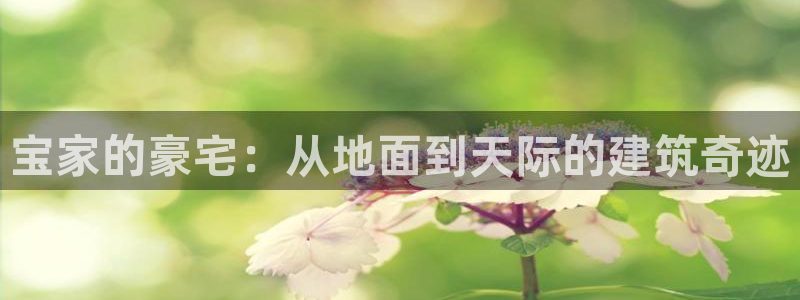 威九国际精忐：宝家的豪宅：从地面到天际的建筑奇迹