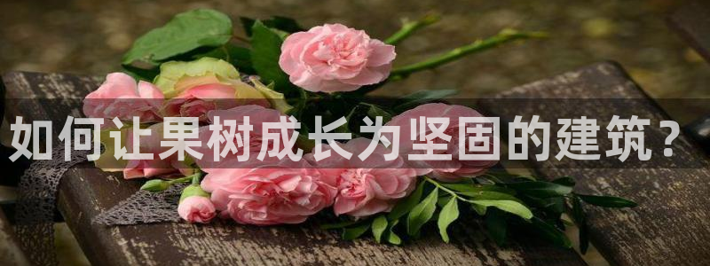 威九国际摩托电影HD：如何让果树成长为坚固的建筑？