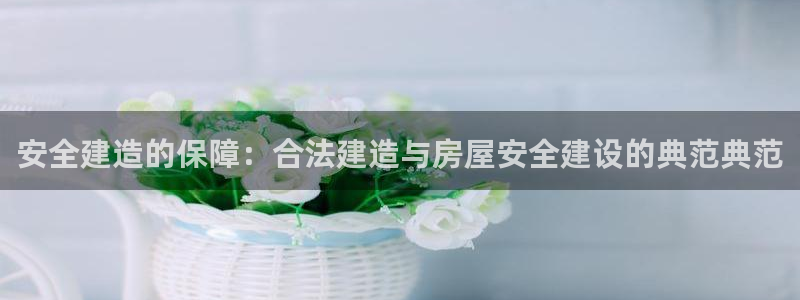 威九国际可以提现吗现在：安全建造的保障：合法建造与房屋安全建设的典范典范