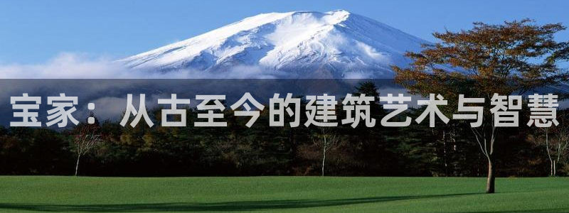 威九国际游戏入口：宝家：从古至今的建筑艺术与智慧