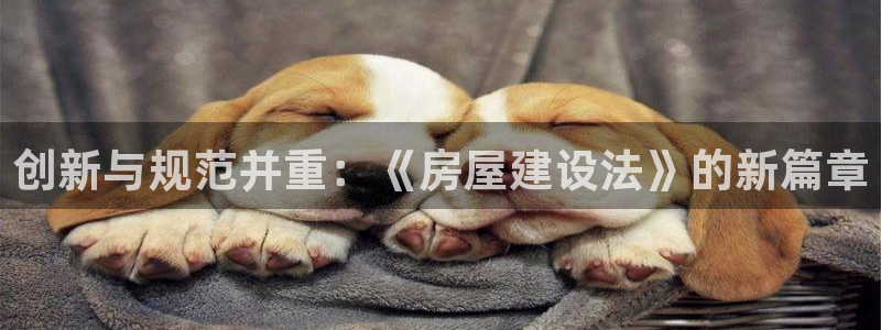 威九国际78mb官网：创新与规范并重：《房屋建设法》的新篇章