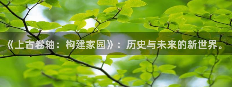 威九国际ppt免费：《上古卷轴：构建家园》：历史与未来的新世界。