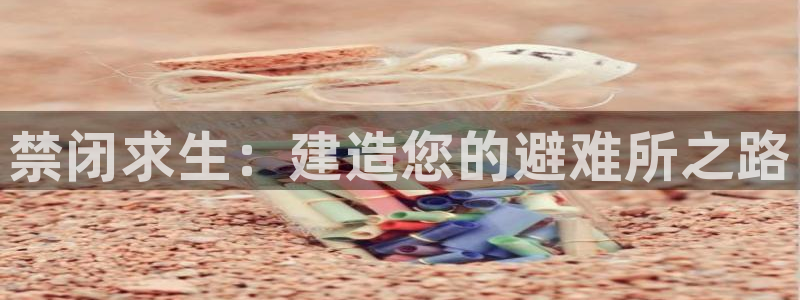66m威九国际精选：禁闭求生：建造您的避难所之路