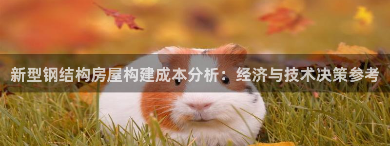 威九国际理论片最经典十首歌曲：新型钢结构房屋构建成本分析：经济与技术决策参考