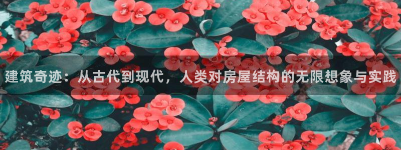 威九国际78m-MBA智库百科：建筑奇迹：从古代到现代，人类对房屋结构的无限想象
