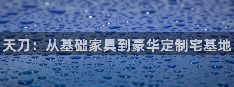 威九国际EVA：天刀：从基础家具到豪华定制宅基地