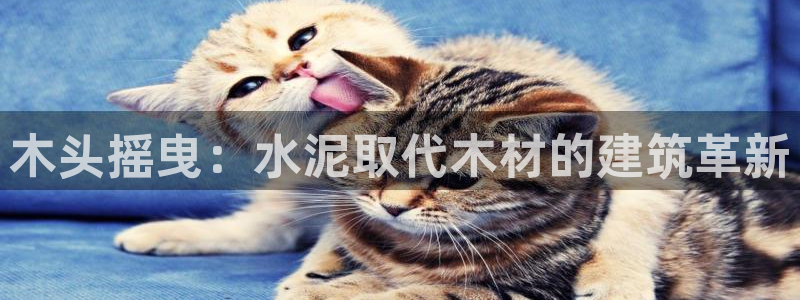 威九国际女神：木头摇曳：水泥取代木材的建筑革新