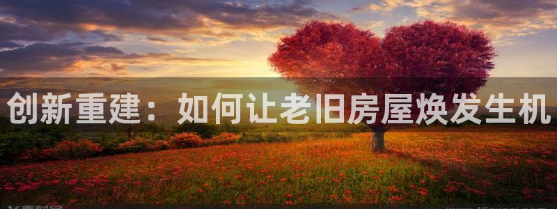 威九国际取款多到账：创新重建：如何让老旧房屋焕发生机