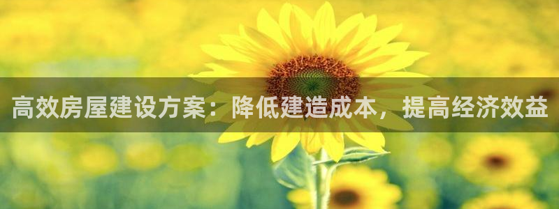 威九国际安全吗：高效房屋建设方案：降低建造成本，提高经济效益